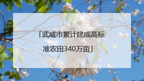 武威市累计建成高标准农田340万亩