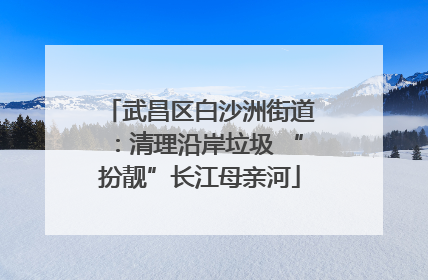 武昌区白沙洲街道：清理沿岸垃圾 “扮靓”长江母亲河