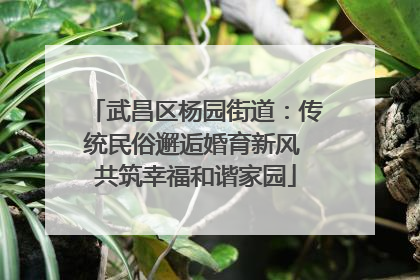 武昌区杨园街道：传统民俗邂逅婚育新风 共筑幸福和谐家园