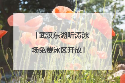 武汉东湖听涛泳场免费泳区开放