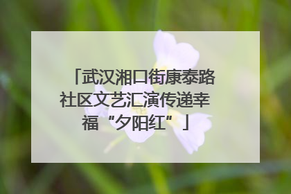 武汉湘口街康泰路社区文艺汇演传递幸福“夕阳红”