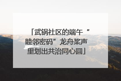 武锅社区的端午“睦邻密码”龙舟桨声里划出共治同心圆