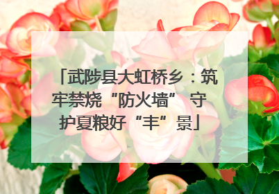 武陟县大虹桥乡：筑牢禁烧“防火墙” 守护夏粮好“丰”景