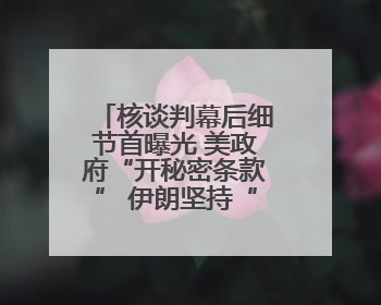 核谈判幕后细节首曝光 美政府“开秘密条款” 伊朗坚持“三大底线”