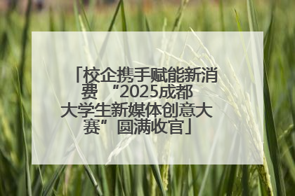 校企携手赋能新消费 “2025成都大学生新媒体创意大赛”圆满收官