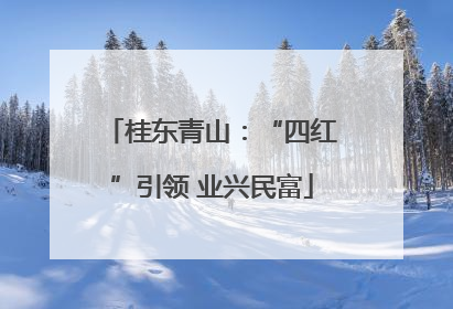 桂东青山：“四红”引领 业兴民富