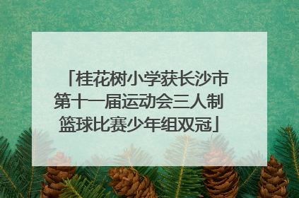 桂花树小学获长沙市第十一届运动会三人制篮球比赛少年组双冠