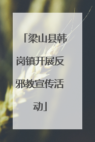 梁山县韩岗镇开展反邪教宣传活动