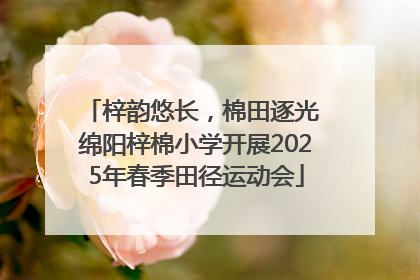 梓韵悠长，棉田逐光 绵阳梓棉小学开展2025年春季田径运动会