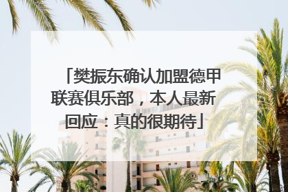 樊振东确认加盟德甲联赛俱乐部，本人最新回应：真的很期待