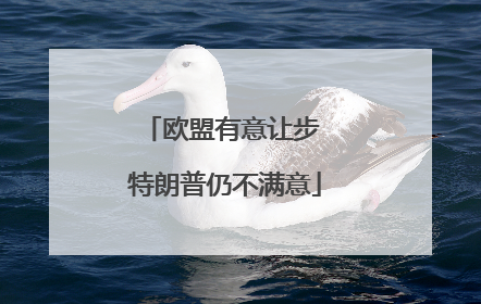 欧盟有意让步 特朗普仍不满意