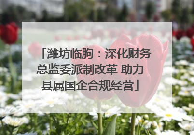 潍坊临朐：深化财务总监委派制改革 助力县属国企合规经营