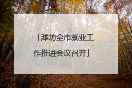 潍坊全市就业工作推进会议召开