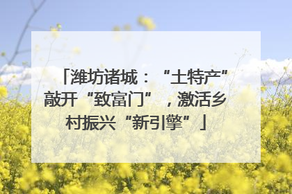 潍坊诸城：“土特产”敲开“致富门”，激活乡村振兴“新引擎”