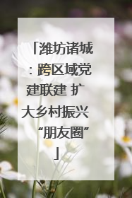潍坊诸城：跨区域党建联建 扩大乡村振兴“朋友圈”