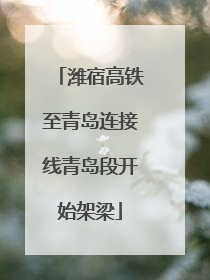 潍宿高铁至青岛连接线青岛段开始架梁