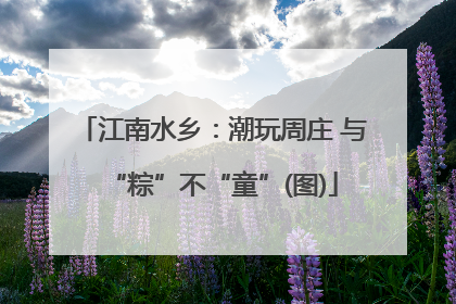 江南水乡：潮玩周庄 与“粽”不“童”(图)