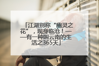 江湖别称“幽灵之花”，现身临沧！——有一种叫云南的生活之365天