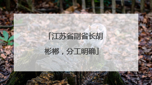 江苏省副省长胡彬郴，分工明确