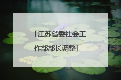 江苏省委社会工作部部长调整