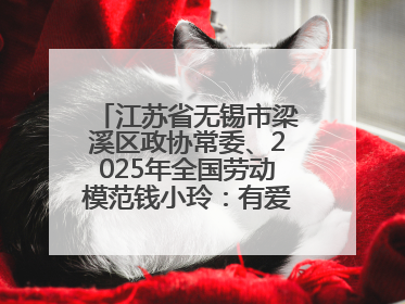 江苏省无锡市梁溪区政协常委、2025年全国劳动模范钱小玲：有爱的地方就是家