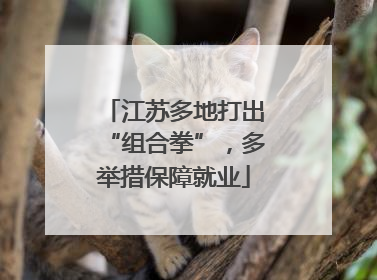 江苏多地打出“组合拳”,多举措保障就业