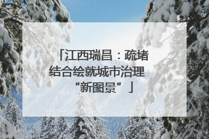 江西瑞昌：疏堵结合绘就城市治理“新图景”