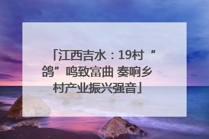 江西吉水：19村“鸽”鸣致富曲 奏响乡村产业振兴强音