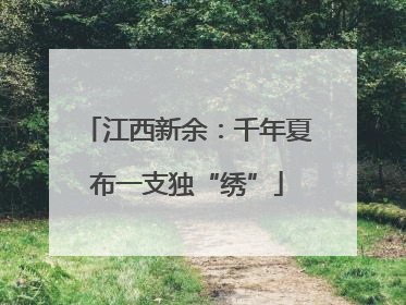 江西新余：千年夏布一支独“绣”
