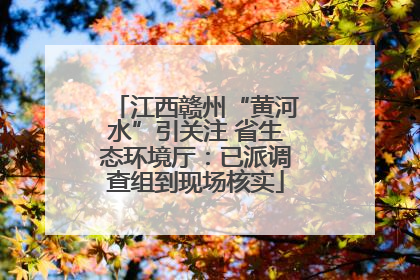 江西赣州“黄河水”引关注 省生态环境厅：已派调查组到现场核实