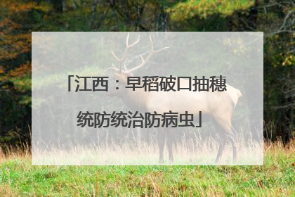 江西：早稻破口抽穗 统防统治防病虫