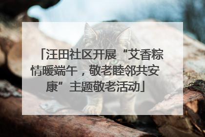 汪田社区开展“艾香粽情暖端午，敬老睦邻共安康”主题敬老活动