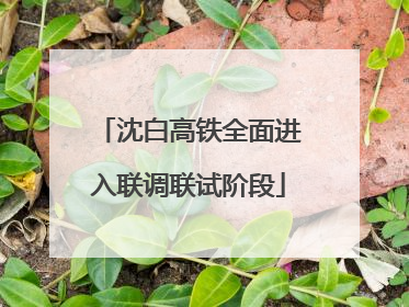 沈白高铁全面进入联调联试阶段