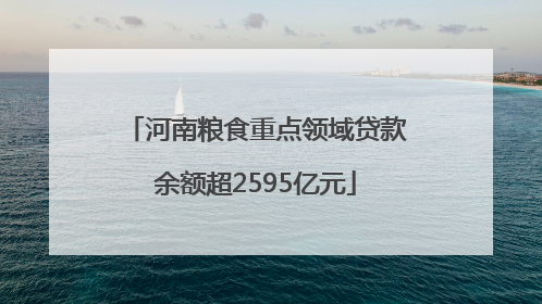 河南粮食重点领域贷款余额超2595亿元
