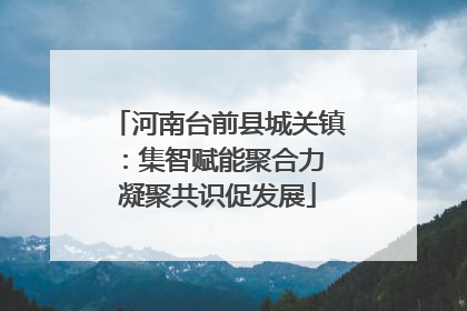 河南台前县城关镇：集智赋能聚合力 凝聚共识促发展