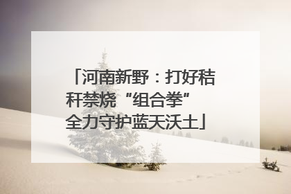 河南新野：打好秸秆禁烧“组合拳” 全力守护蓝天沃土