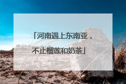 河南遇上东南亚，不止榴莲和奶茶