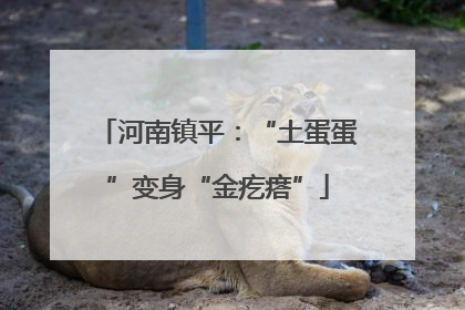河南镇平：“土蛋蛋”变身“金疙瘩”