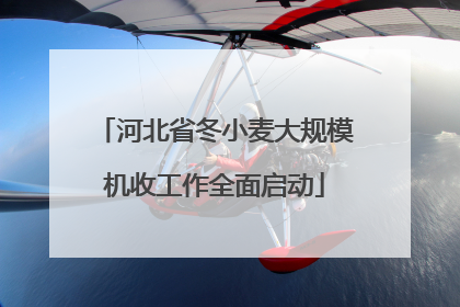 河北省冬小麦大规模机收工作全面启动