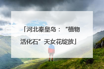 河北秦皇岛：“植物活化石”天女花绽放
