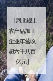 河北规上农产品加工企业年营收超六千八百亿元