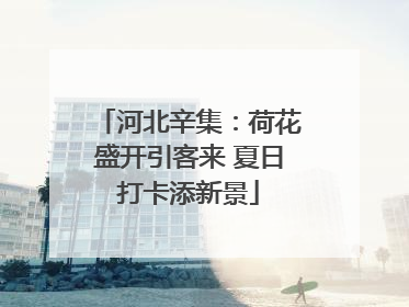 河北辛集：荷花盛开引客来 夏日打卡添新景