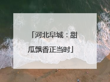 河北阜城：甜瓜飘香正当时