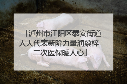 泸州市江阳区泰安街道人大代表新阶力量润桑梓 二次医保暖人心