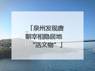泉州发现唐朝宰相隐居地“活文物”