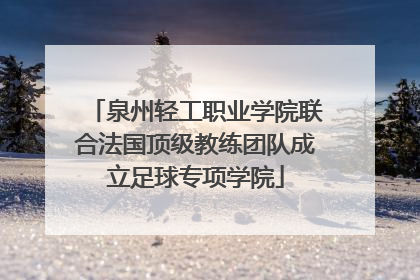 泉州轻工职业学院联合法国顶级教练团队成立足球专项学院