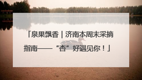 泉果飘香｜济南本周末采摘指南——“杏”好遇见你！