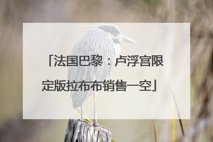 法国巴黎：卢浮宫限定版拉布布销售一空