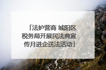 法护营商 城阳区税务局开展民法典宣传月进企送法活动