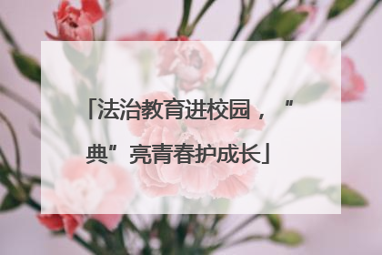 法治教育进校园，“典”亮青春护成长